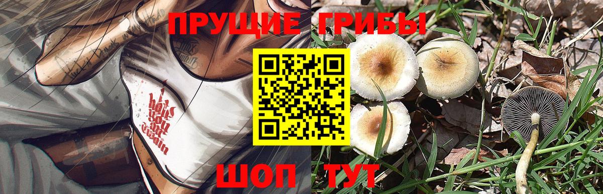 Псилоцибиновые грибы Psilocybine cubensis  Вход с VPN  Галлюциногенные грибы ЛСД  Сыктывкар 